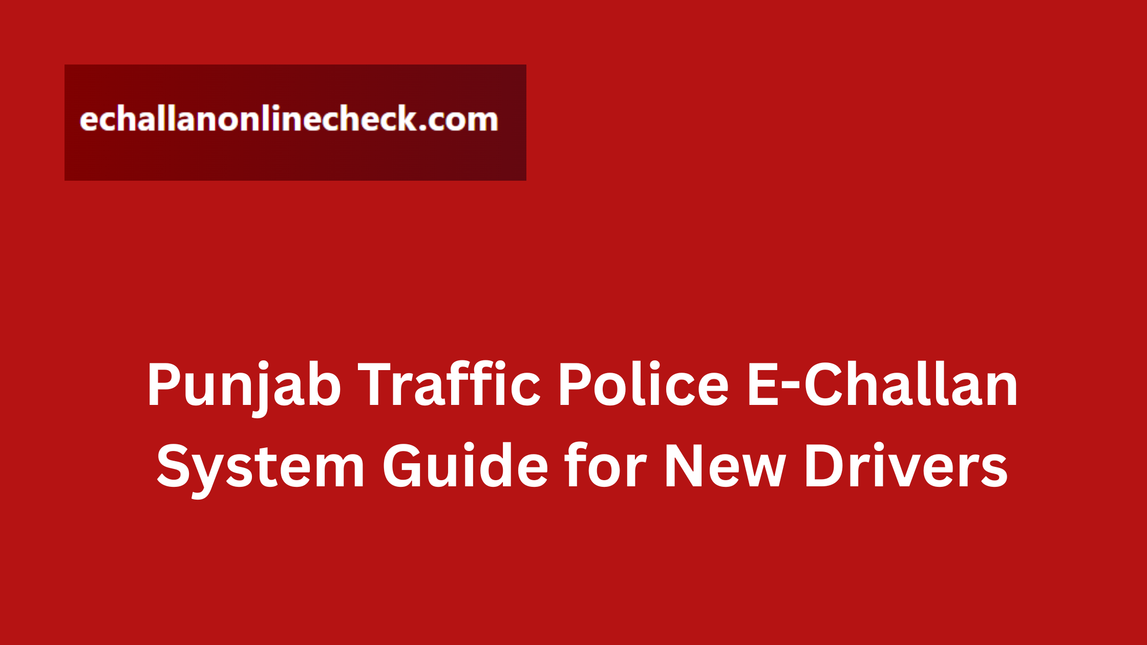 Punjab Traffic Police E-Challan System Guide for New Drivers